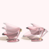Purple Foldable Elevated Pet Bowl Set - Tilted Ergonomic Cat Feeder with Aluminum Stand & Silicone Bowl